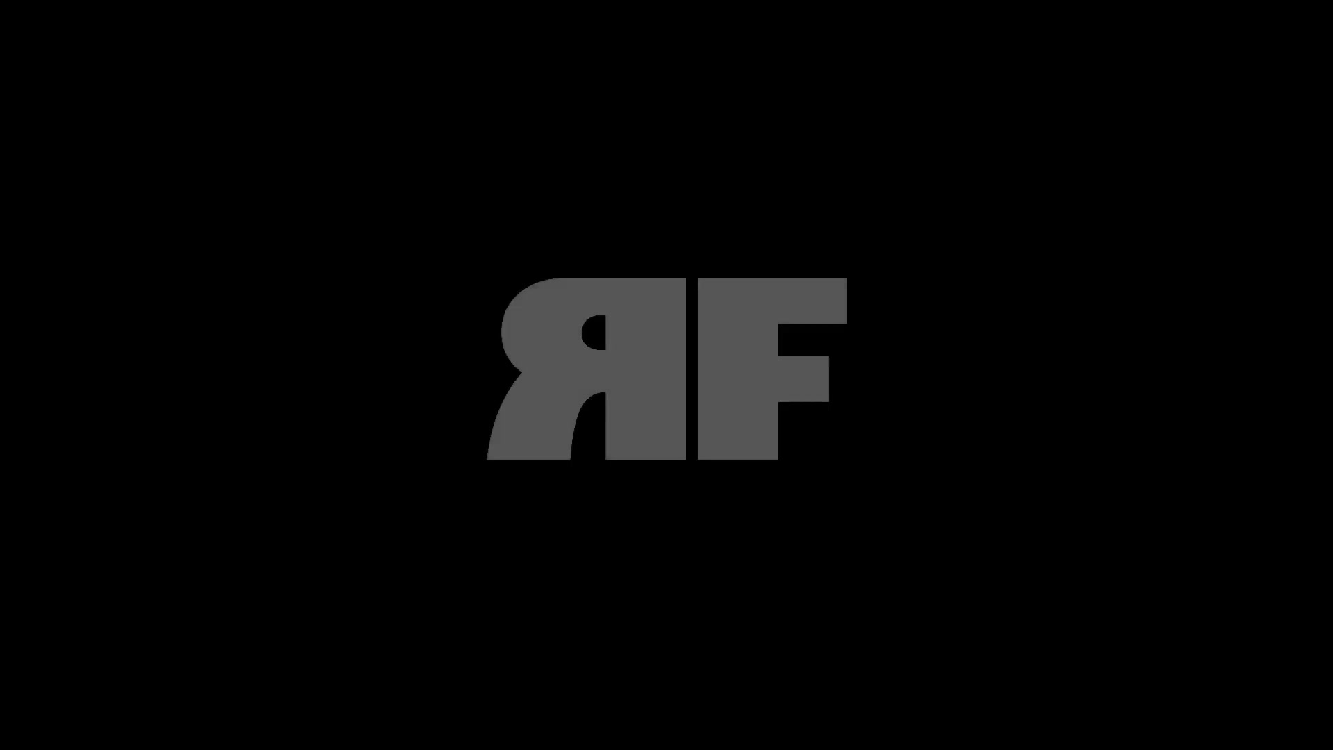 RF Productions | Virtual Music Festivals, Roblox Events & Entertainment